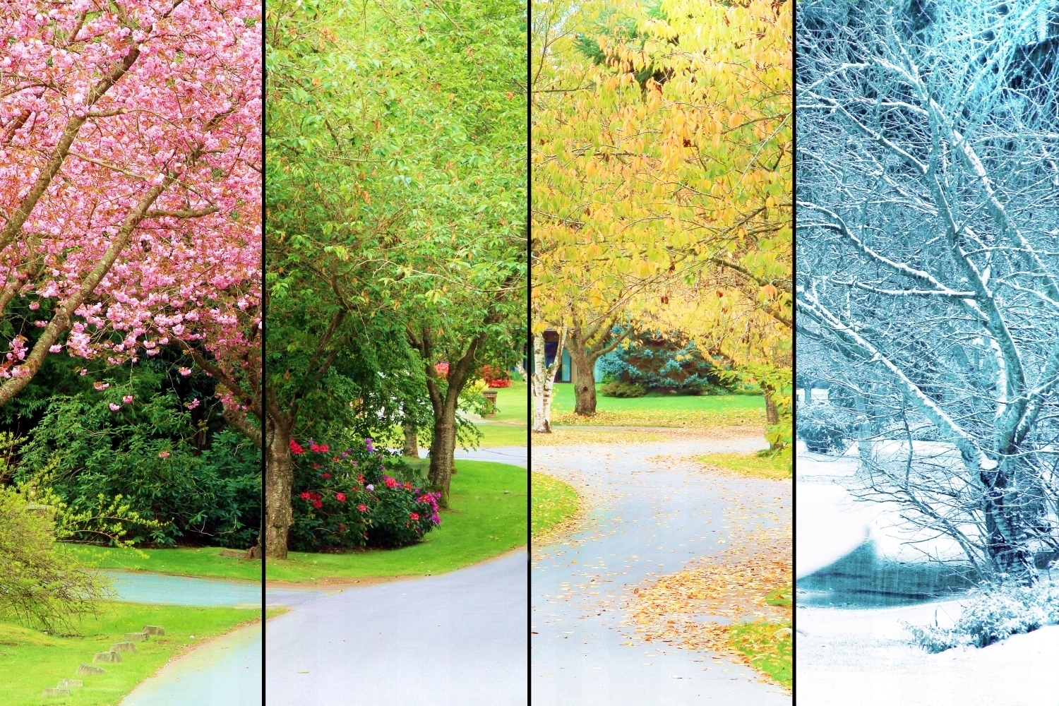 Four seasons of Japan.