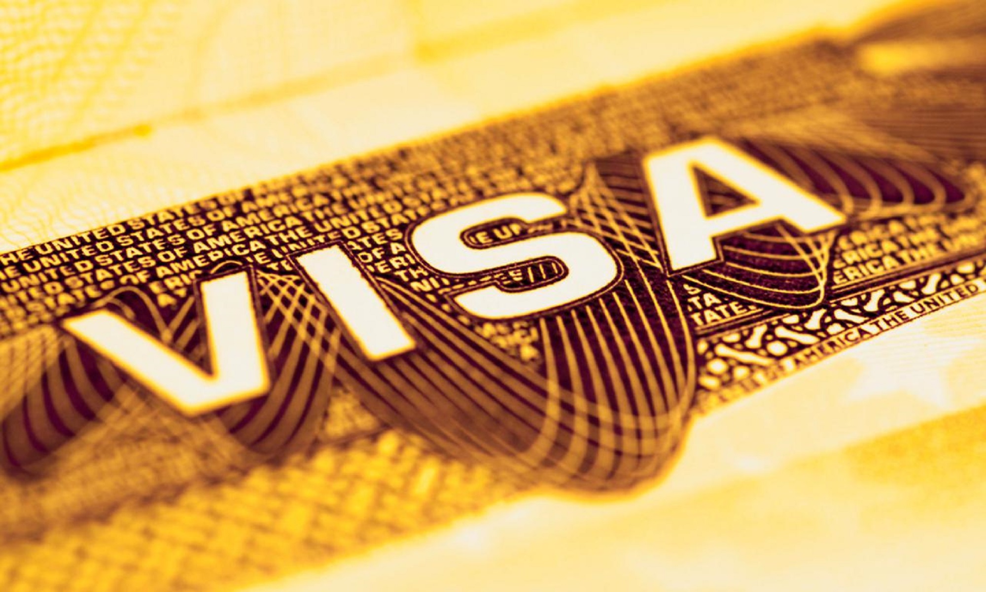 Diplomatic visa: all you need to know