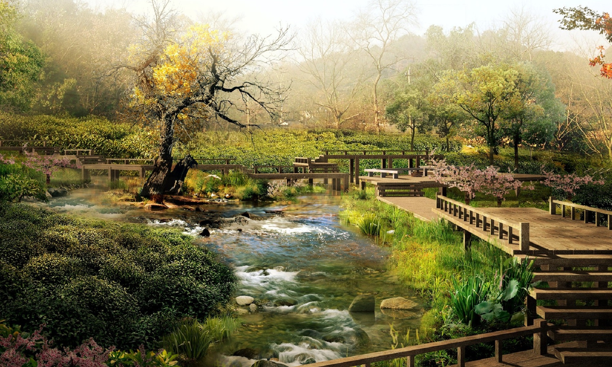 Japanese nature reserve.