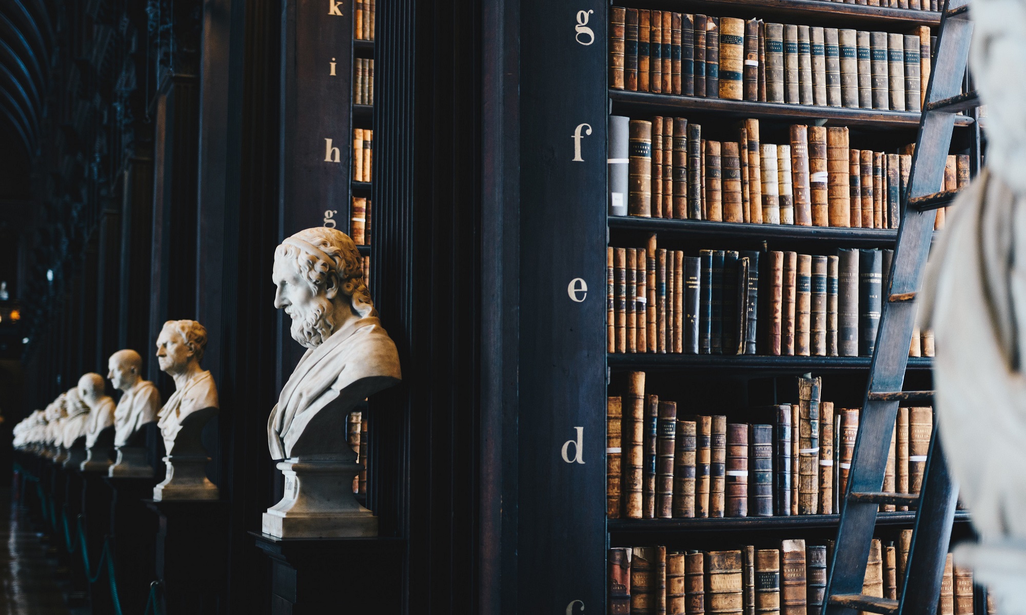 Shelves in the library hallway