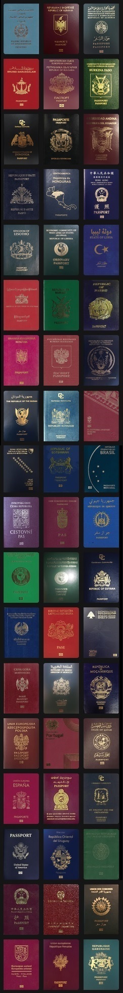 The strongest passport in the world