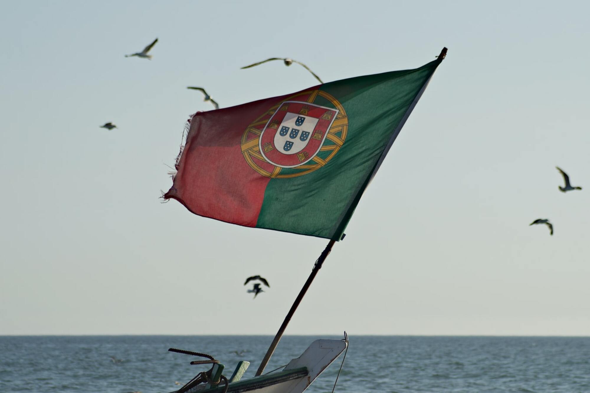 Portugal: Visa D7