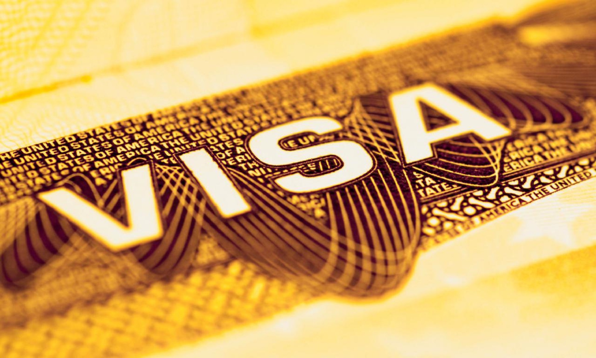 Visa document