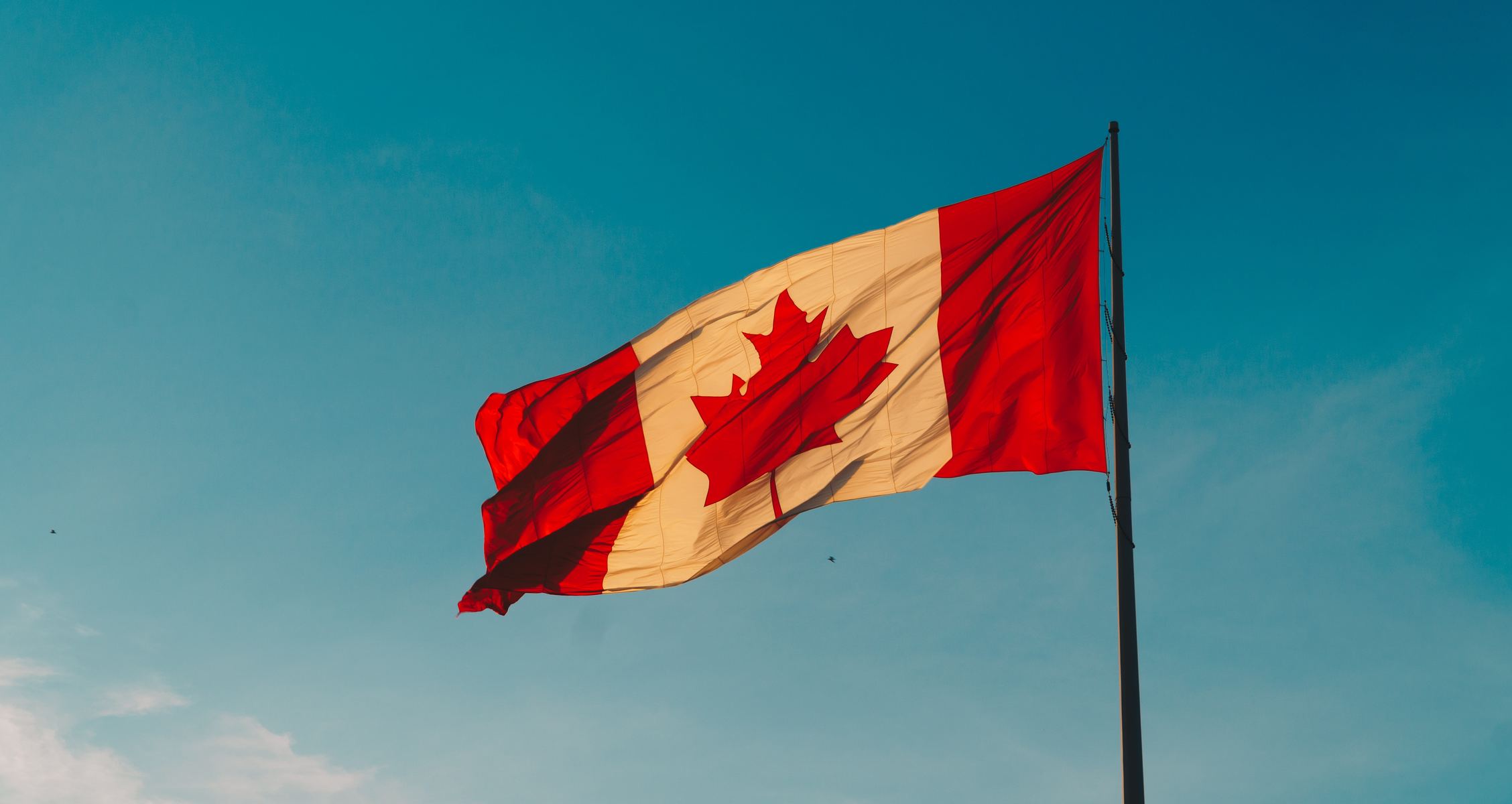 Expat’s guide on Canada tax system