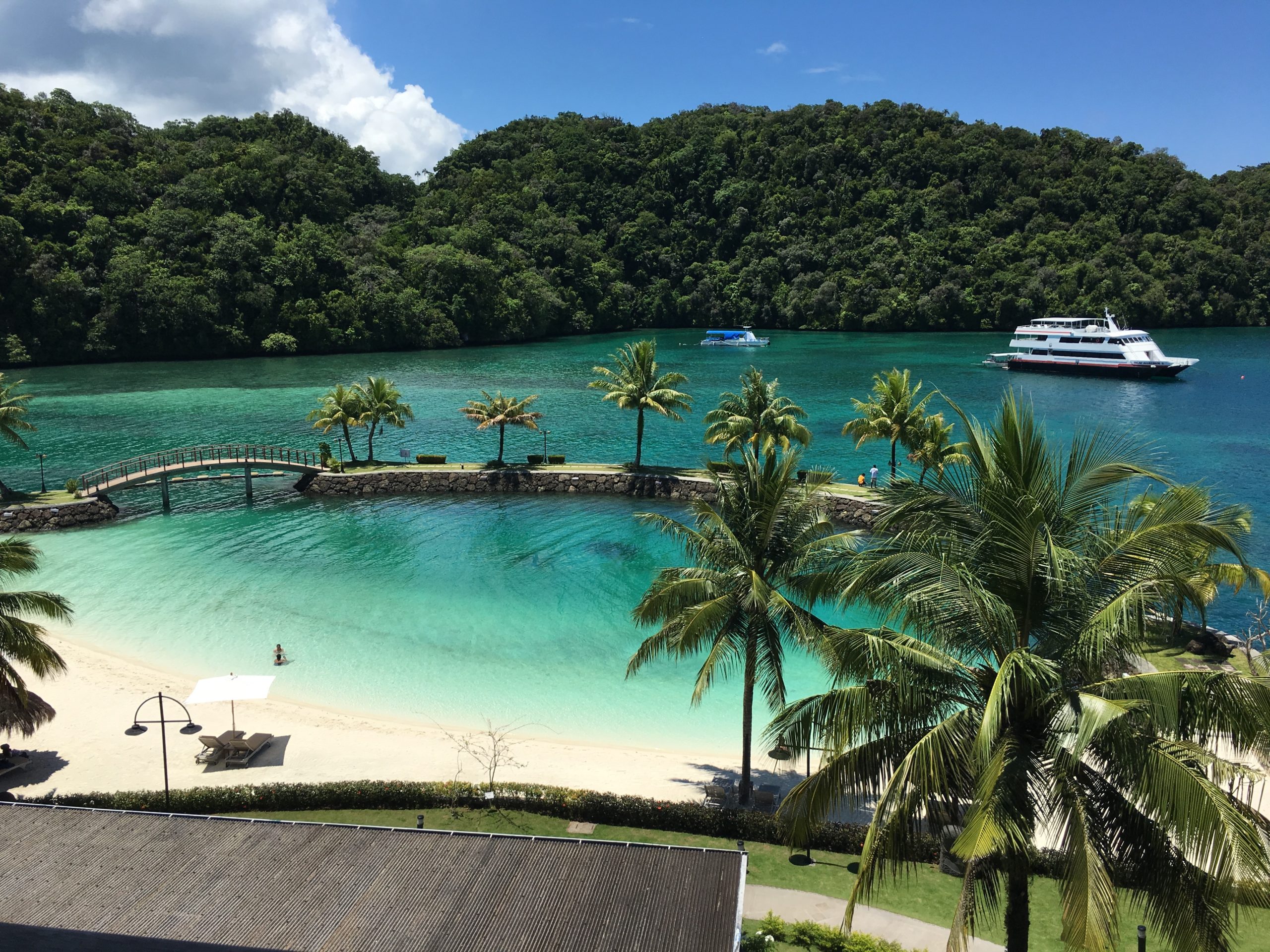 Main reasons why visas in Palau get denied